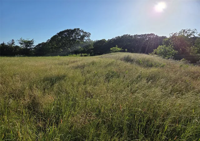 Photo 4 of Sale Pending at Tbd C R 2610, Ivanhoe, TX 75447 | MLS# 21056649 | Listing updated on 2026-09-09