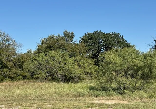 Photo 1 of Land for sale at 31033 Doe Run Ct, Whitney, TX 76692 | MLS# 21058150 | Listing updated on 2026-09-10