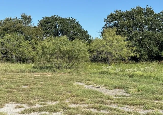 Photo 3 of Land for sale at 31033 Doe Run Ct, Whitney, TX 76692 | MLS# 21058150 | Listing updated on 2026-09-10