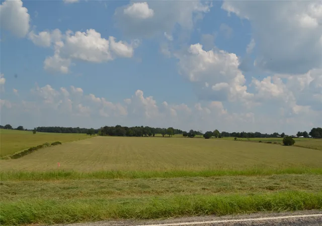 Photo 11 of Land for sale at Tbd Fm 607 S, Larue, TX 75770 | MLS# 21060832 | Listing updated on 2026-09-14