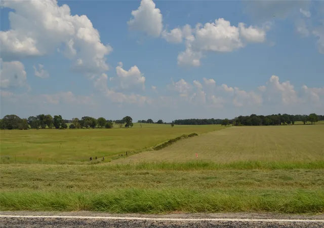 Photo 1 of Land for sale at Tbd Fm 607 S, Larue, TX 75770 | MLS# 21060832 | Listing updated on 2026-09-14
