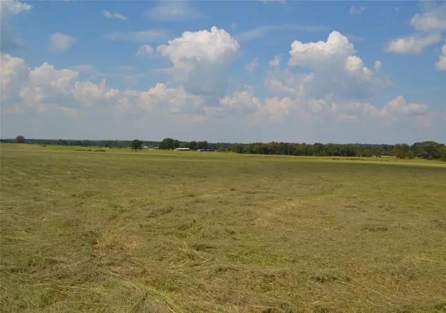 Photo 2 of Land for sale at Tbd Fm 607 S, Larue, TX 75770 | MLS# 21060832 | Listing updated on 2026-09-14