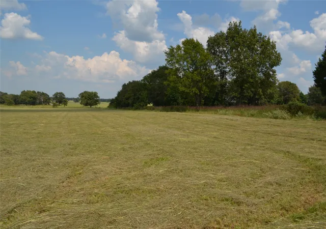 Photo 2 of Land for sale at Tbd Fm 607 S, Larue, TX 75770 | MLS# 21060832 | Listing updated on 2026-09-14