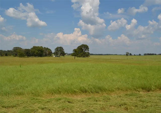 Photo 4 of Land for sale at Tbd Fm 607 S, Larue, TX 75770 | MLS# 21060832 | Listing updated on 2026-09-14