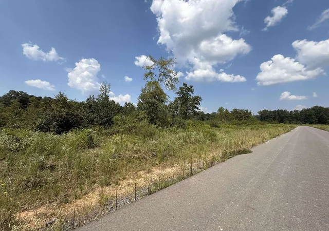 Photo 3 of Land for sale at 0 Bradleigh Blvd, Frierson, LA 71027 | MLS# 21063380 | Listing updated on 2026-09-10