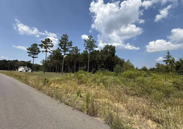 Photo 3 of Land for sale at 0 Bradleigh Blvd, Frierson, LA 71027 | MLS# 21063380 | Listing updated on 2026-09-10