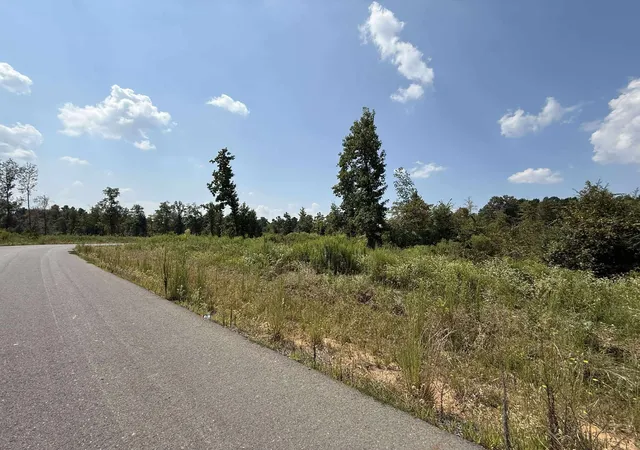 Photo 4 of Land for sale at 0 Bradleigh Blvd, Frierson, LA 71027 | MLS# 21063380 | Listing updated on 2026-09-10