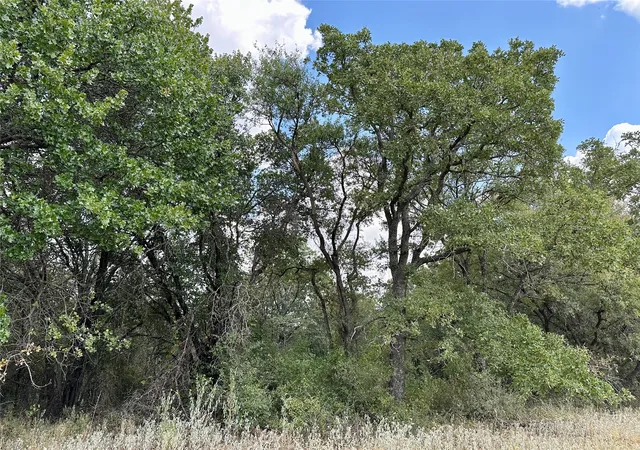Photo 3 of Land for sale at Tbd Cr 323, Hasse, TX 76442 | MLS# 21064811 | Listing updated on 2026-09-11
