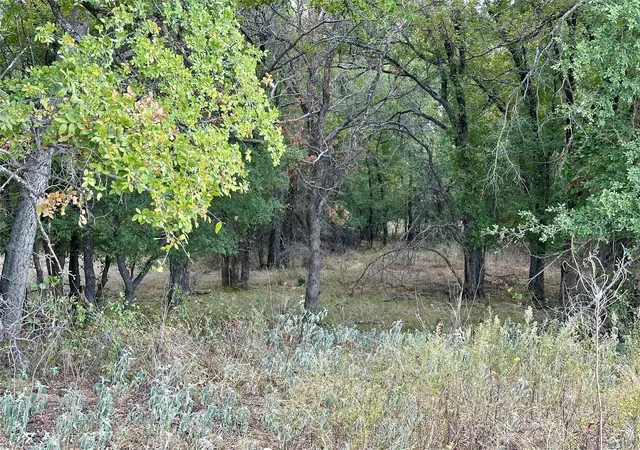 Photo 4 of Land for sale at Tbd Cr 323, Hasse, TX 76442 | MLS# 21064811 | Listing updated on 2026-09-11