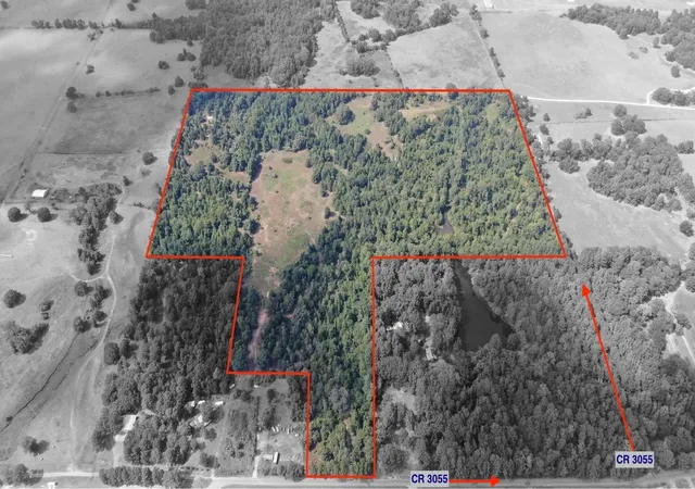 Photo 1 of Land for sale at 0 County Road 305, Frankston, TX 75763 | MLS# 21065256 | Listing updated on 2026-09-10