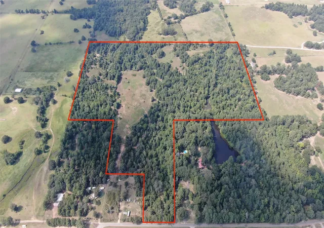 Photo 2 of Land for sale at 0 County Road 305, Frankston, TX 75763 | MLS# 21065256 | Listing updated on 2026-09-10