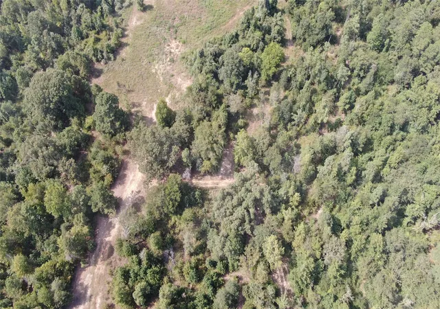Photo 35 of Land for sale at 0 County Road 305, Frankston, TX 75763 | MLS# 21065256 | Listing updated on 2026-09-10