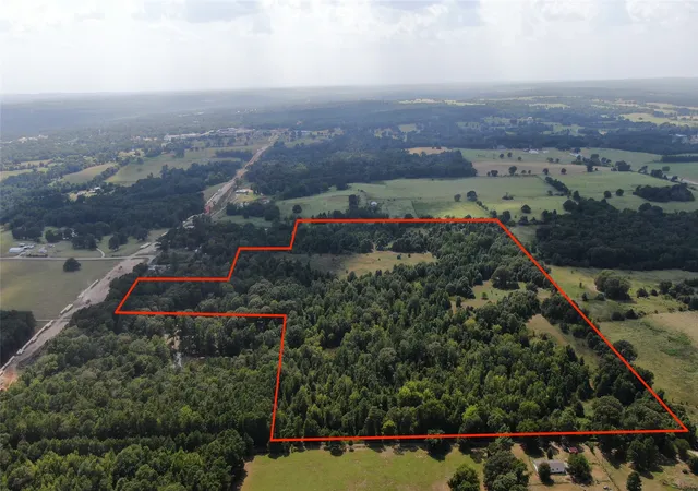 Photo 3 of Land for sale at 0 County Road 305, Frankston, TX 75763 | MLS# 21065256 | Listing updated on 2026-09-10