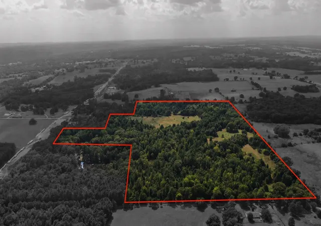 Photo 3 of Land for sale at 0 County Road 305, Frankston, TX 75763 | MLS# 21065256 | Listing updated on 2026-09-10