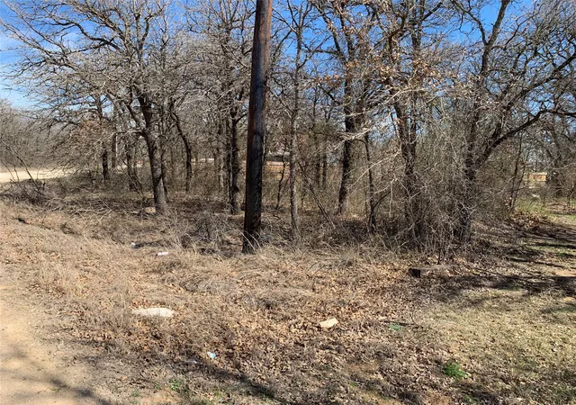 Photo 1 of Land for sale at Lot2 Blok 2 Lark Meadow Dr, Bridgeport, TX 76426 | MLS# 21065863 | Listing updated on 2026-09-08