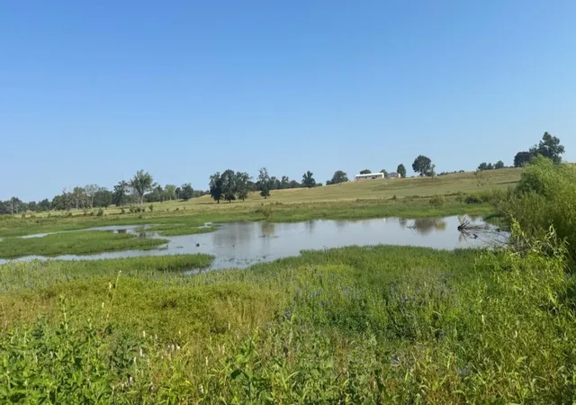 Photo 1 of Land for sale at 768 County Road 2220, Talco, TX 75487 | MLS# 21068244 | Listing updated on 2026-09-08