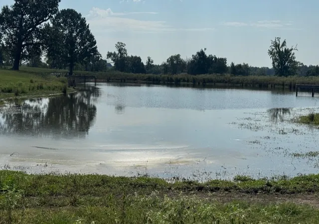 Photo 3 of Land for sale at 768 County Road 2220, Talco, TX 75487 | MLS# 21068244 | Listing updated on 2026-09-08