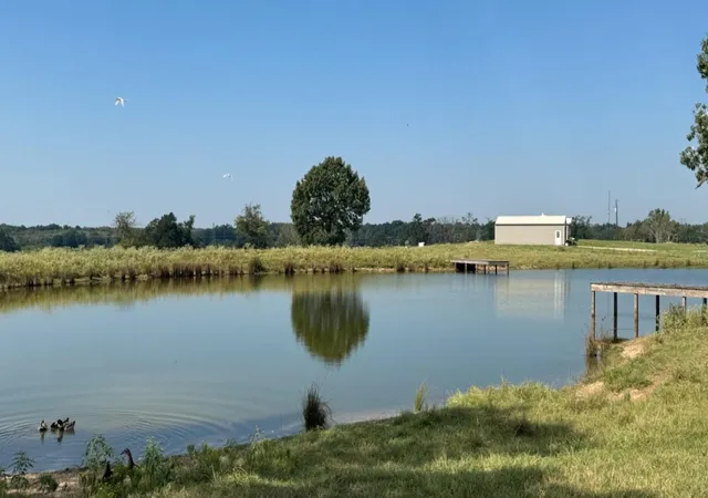 Land for sale at 768 County Road 2220, Talco, TX 75487 | MLS# 21068244 | Listing updated on 2026-09-08