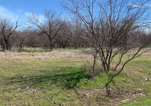 Photo 2 of Land for sale at Lot 1 Block 6 Lark Meadow Dr, Bridgeport, TX 76426 | MLS# 21070695 | Listing updated on 2026-09-08