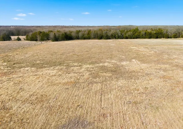 Photo 3 of Land for sale at Tbd Fm 2649 Tract 4, Greenville, TX | MLS# 21073931 | Listing updated on 2026-10-06