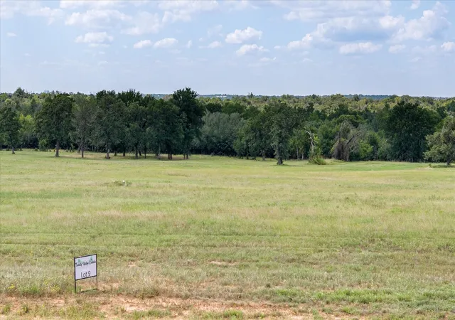 Photo 3 of Land for sale at Lot #9 Trinity Ridge Dr, Stephenville, TX 76401 | MLS# 21075246 | Listing updated on 2026-09-22