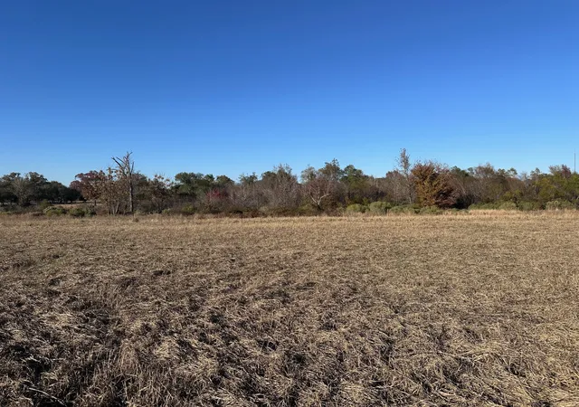 Photo 3 of Sale Pending at 5517 Pr 5107, Athens, TX 75752 | MLS# 21082788 | Listing updated on 2026-09-08