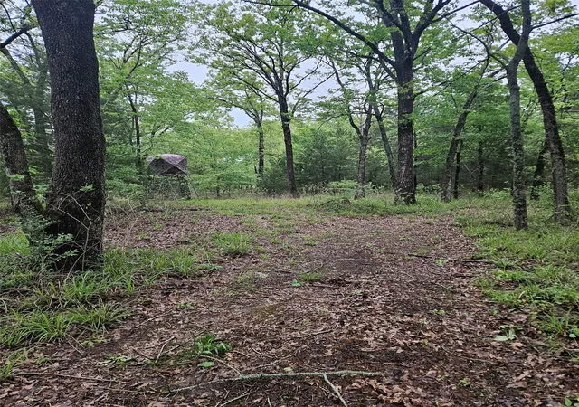 Photo 2 of Land for sale at 01 Private 5401 Rd, Malakoff, TX 75148 | MLS# 21092043 | Listing updated on 2026-09-08