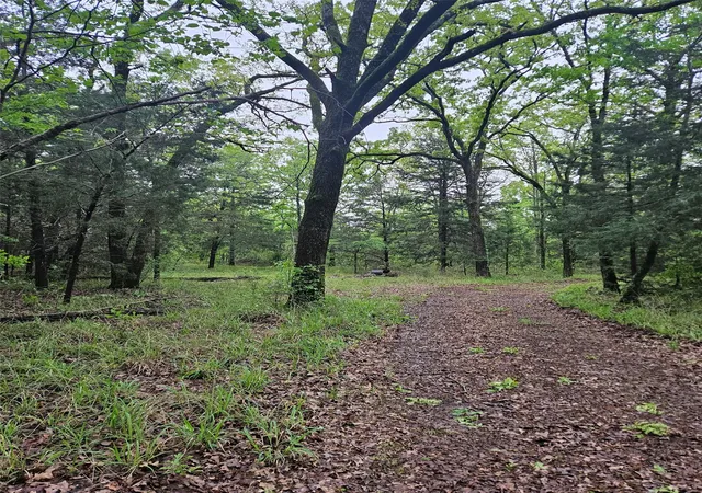 Photo 3 of Land for sale at 01 Private 5401 Rd, Malakoff, TX 75148 | MLS# 21092043 | Listing updated on 2026-09-08
