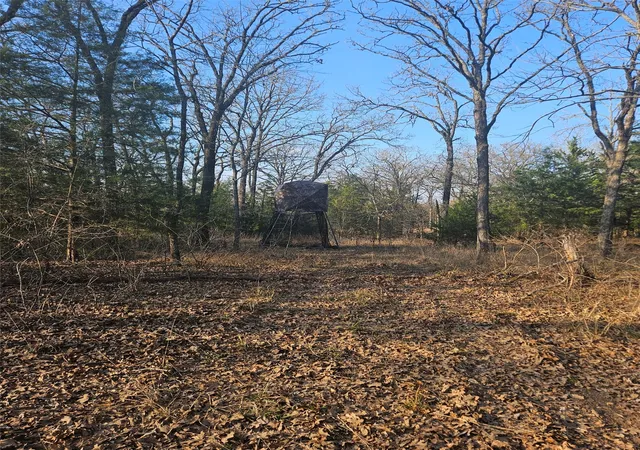 Photo 3 of Land for sale at 01 Private 5401 Rd, Malakoff, TX 75148 | MLS# 21092043 | Listing updated on 2026-09-08