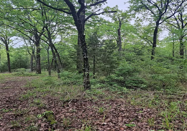 Photo 4 of Land for sale at 01 Private 5401 Rd, Malakoff, TX 75148 | MLS# 21092043 | Listing updated on 2026-09-08