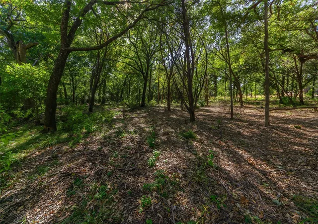 Photo 4 of Land for sale at 1053 Creek Crossing Rd, Nemo, TX 76070 | MLS# 21105804 | Listing updated on 2026-07-31