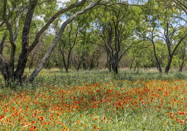Photo 3 of Land for sale at 8548 County Road 332, Blanket, TX 76432 | MLS# 21109867 | Listing updated on 2026-09-07