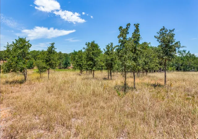 Photo 4 of Land for sale at 271 Creek Meadow Ct, Lipan, TX 76462 | MLS# 21114318 | Listing updated on 2026-09-11