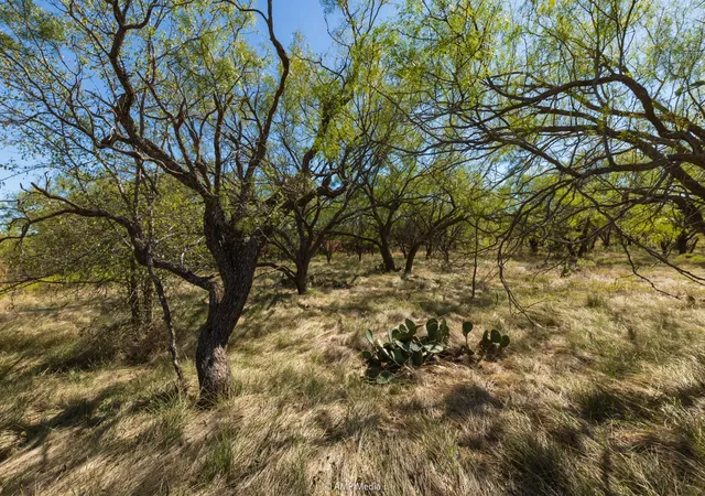 Photo 3 of Sale Pending at Tbd Us Hwy 83 N, Ovalo, TX 79541 | MLS# 21114334 | Listing updated on 2026-09-10