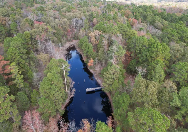 Photo 3 of Land for sale at Tbd Stag Road, Gilmer, TX 75644 | MLS# 21114621 | Listing updated on 2026-07-30