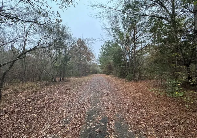 Photo 2 of Land for sale at 6229 County Rd 21, Tyler, TX 75707 | MLS# 21126797 | Listing updated on 2026-09-09