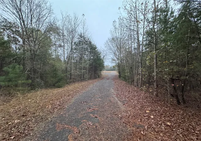 Photo 3 of Land for sale at 6229 County Rd 21, Tyler, TX 75707 | MLS# 21126797 | Listing updated on 2026-09-09