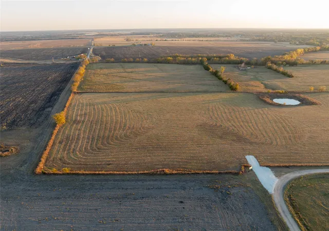 Photo 4 of Land for sale at Tbd Lot 14 Cr 15200, Pattonville, TX 75468 | MLS# 21126004 | Listing updated on 2026-07-31