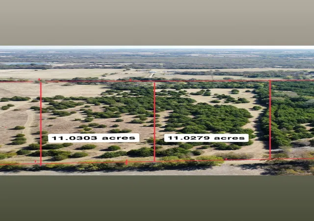Photo 1 of Land for sale at Tbd Cr-669, Blue Ridge, TX 75424 | MLS# 21132595 | Listing updated on 2026-08-01