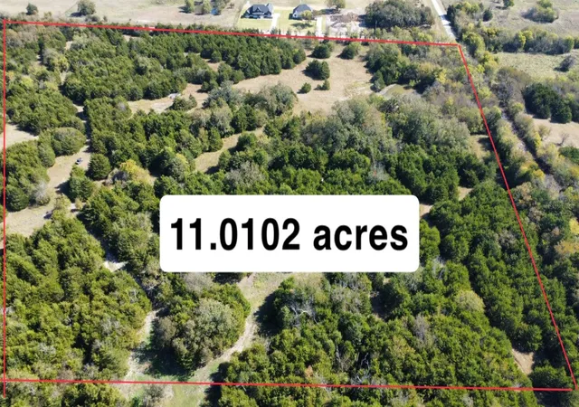 Photo 2 of Land for sale at Tbd Cr-669, Blue Ridge, TX 75424 | MLS# 21132595 | Listing updated on 2026-08-01