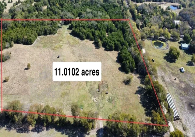 Photo 3 of Land for sale at Tbd Cr-669, Blue Ridge, TX 75424 | MLS# 21132595 | Listing updated on 2026-08-01