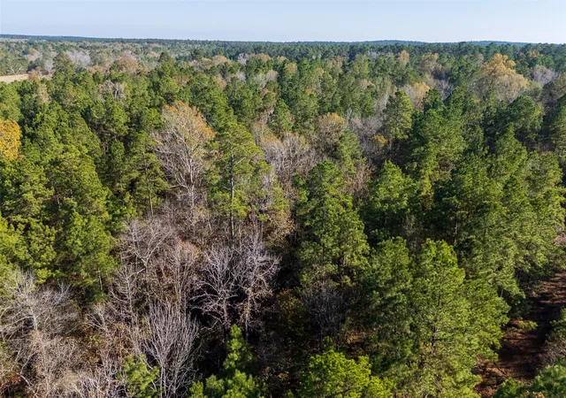 Land for sale at 00 County Road 1135, Crockett, TX 75835 | MLS# 21142337