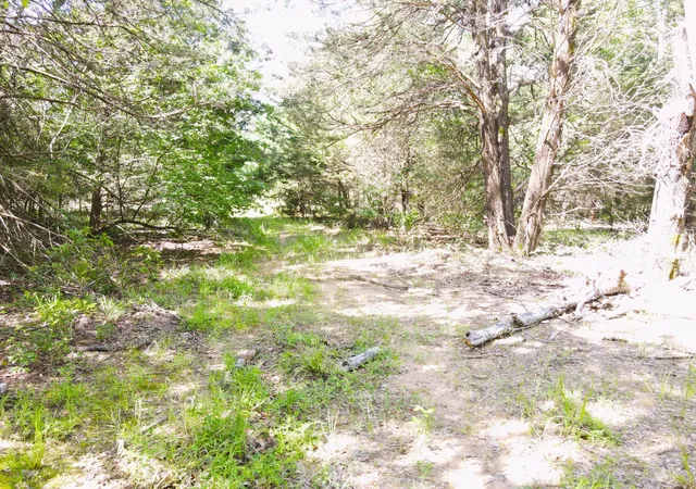 Photo 2 of Land for sale at 12975 Cr 316, Terrell, TX 75161 | MLS# 21140934 | Listing updated on 2026-07-28