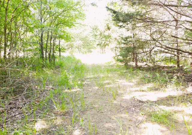 Photo 3 of Land for sale at 12975 Cr 316, Terrell, TX 75161 | MLS# 21140934 | Listing updated on 2026-07-28
