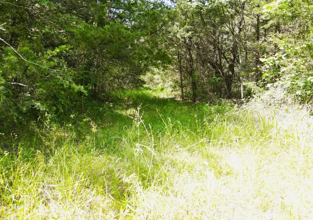 Photo 4 of Land for sale at 12975 Cr-316, Terrell, TX 75161 | MLS# 21140934 | Listing updated on 2026-07-28