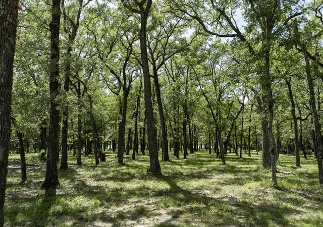 Photo 1 of Land for sale at Lot 71 Anchor Point, Quinlan, TX 75474 | MLS# 21149776 | Listing updated on 2026-09-11