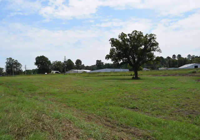Photo 4 of Land for sale at 0 Old Shreveport Rd, Minden, LA 71055 | MLS# 21150154 | Listing updated on 2026-07-29
