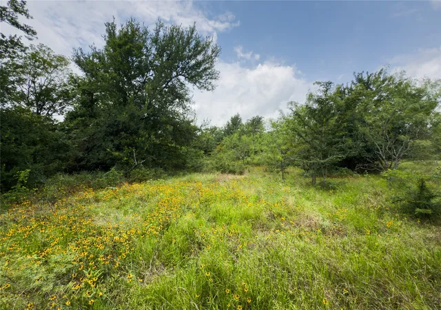 Photo 2 of Sale Pending at Lot 1 County Road 173, Marlin, TX 76661 | MLS# 21154994 | Listing updated on 2026-09-15