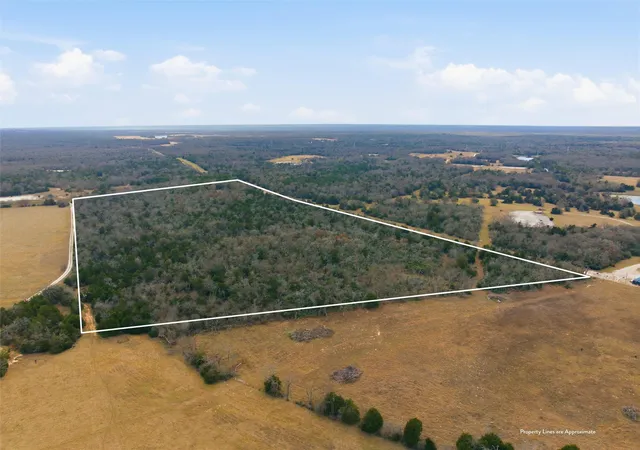 Photo 2 of Land for sale at Tbd Lcr 762, Groesbeck, TX 76642 | MLS# 21153000 | Listing updated on 2026-09-10