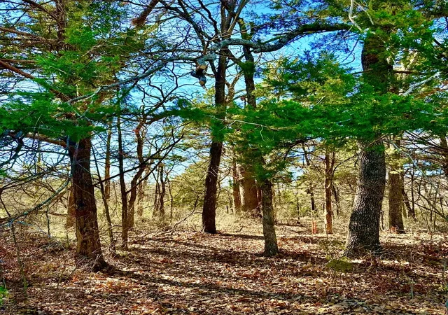 Photo 2 of Land for sale at Lot 15 Dublin Cir, Gordonville, TX 76245 | MLS# 21153785 | Listing updated on 2026-09-09